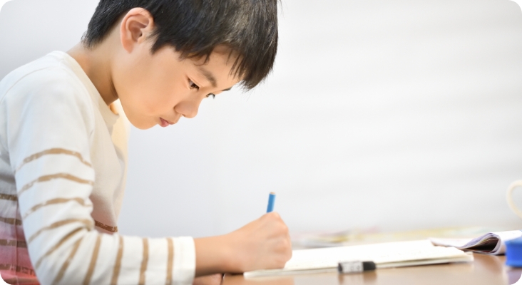 勉強をする男の子の写真